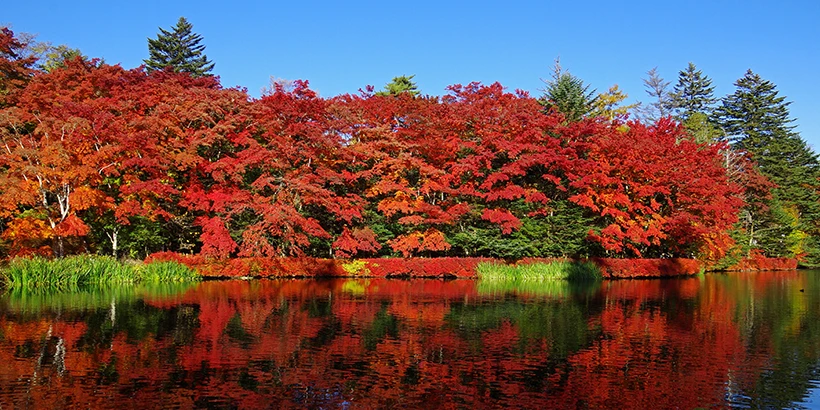 紅葉名所 雲場池