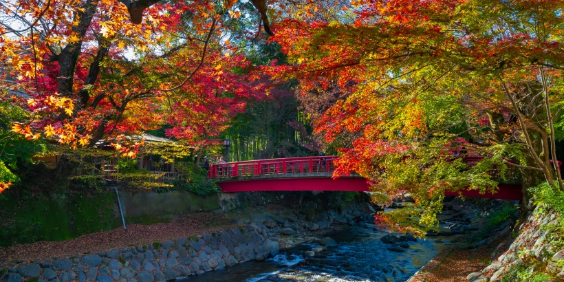 紅葉名所 修善寺温泉街